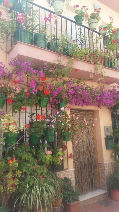 Puerto Deportivo Estepona Eksteriør bilde